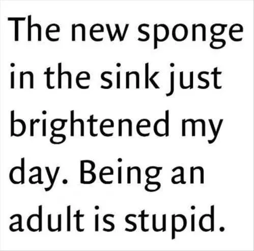 Hilarious Funny Adult Quotes  Sponge
