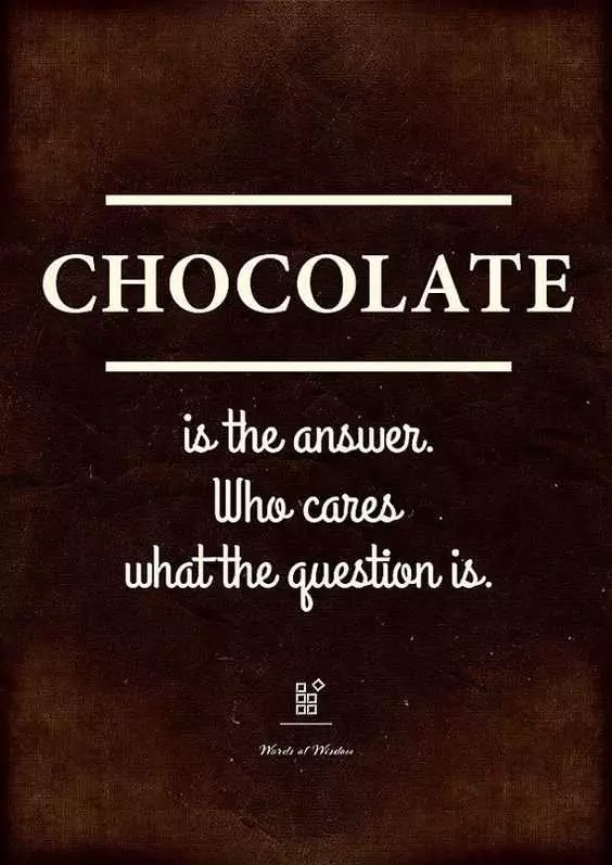 Hilarious Funny Food Quotes  Chocolate