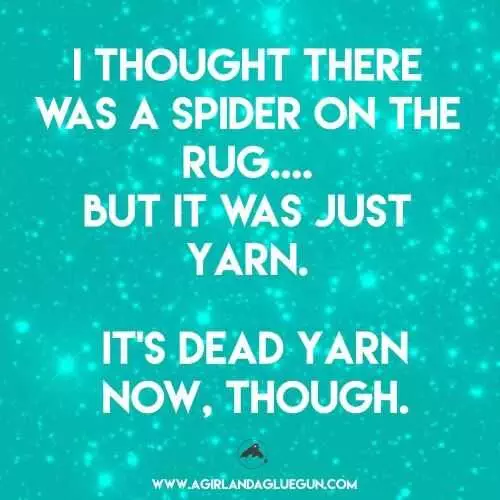 Hilarious Funny Quotes  Arachnophobia