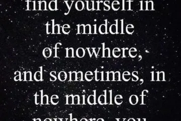 Quote Sometimes You Find