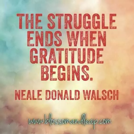 Inspirational Quotes About Life  Gratitude