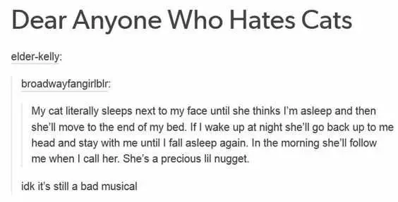 Hilarious Tumblr Posts 9 Cat Musical