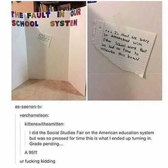 Hilarious Tumblr Post School Fault