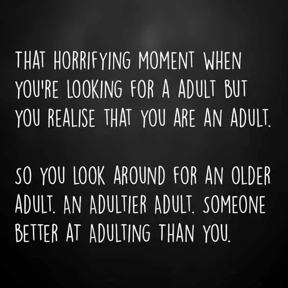 Being An Adult Memes  Looking For More Adults