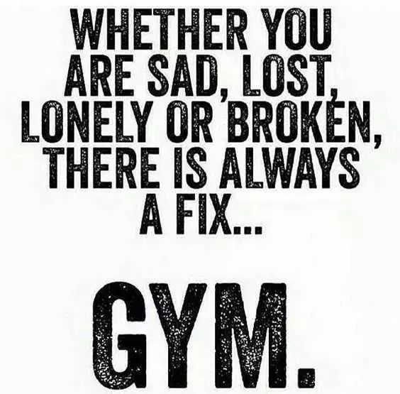 Inspirational Gym Day Quotes  Gym Is A Fix