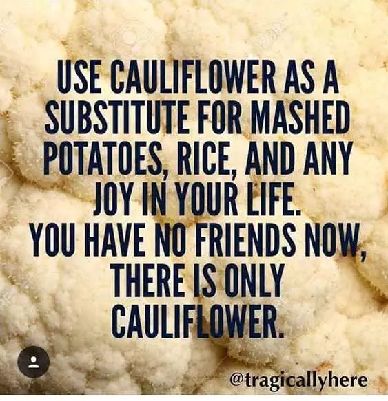 Hilarious Life Quotes  Cauliflower