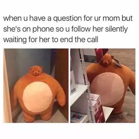 Funny Memes And Pictures 2  Stalking Mom