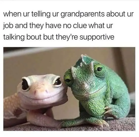 Funny Family Memes Supportive Grandparents