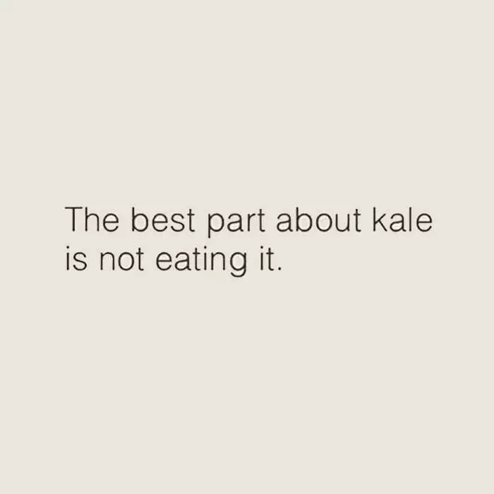 Funny Sayings About Life  Kale