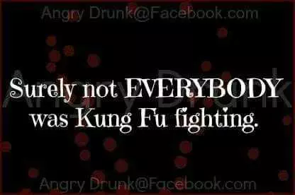 Hilarious Life Quotes  Kung Fu Fighting?