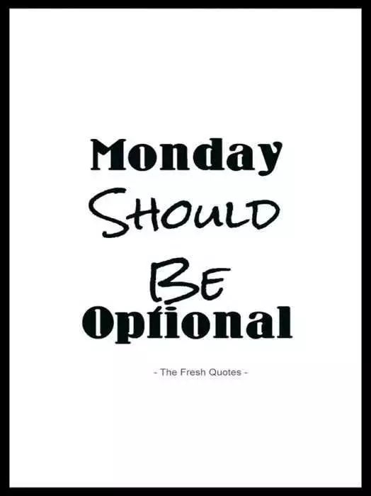 Funny Sayings About Life  Monday Optional