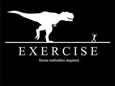 Funny Sayings About Life  Exercise