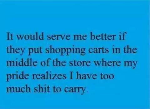 Funny Quotes About Life In General  Shopping Cart Placement