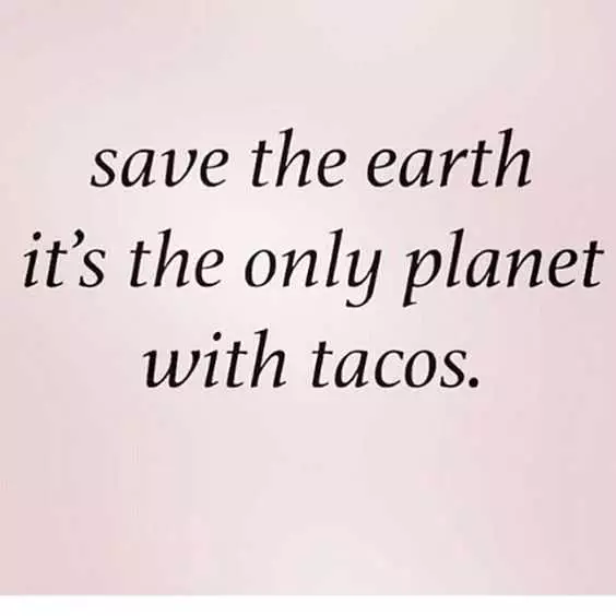 Life Quotes  Tacos