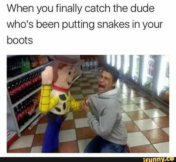 Funny Memes And Pictures 1  Snakes In Boots