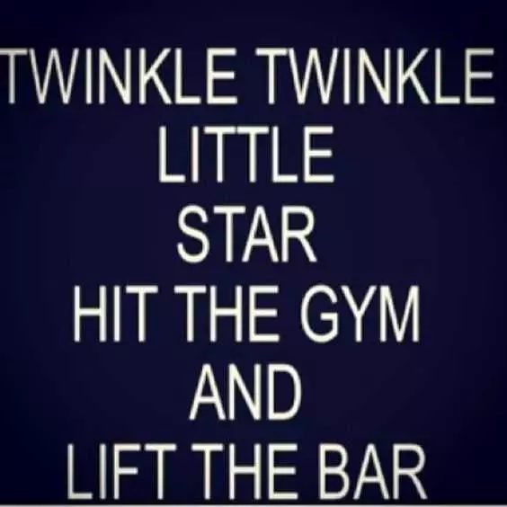 Inspirational Gym Day Quote  Twinkle Twinkle