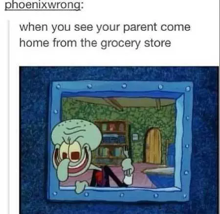 Funny Images Clean  Groceries