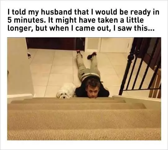 Hilarious Marriage Memes  Husband And Dog