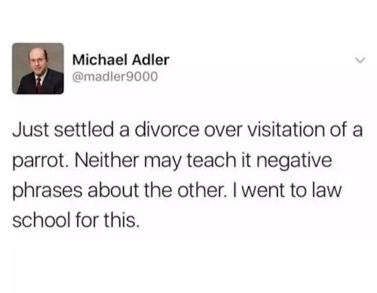 Funny Marriage Meme  Divorce
