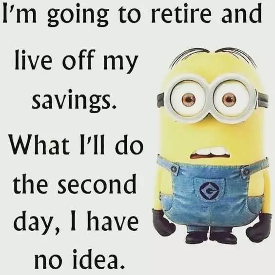 Minion Quotes And Memes  2Nd Day Savings