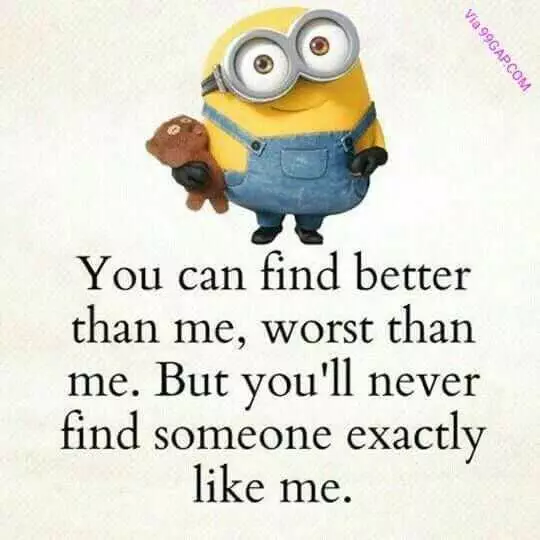 Minion Quotes And Memes  Better Than Me