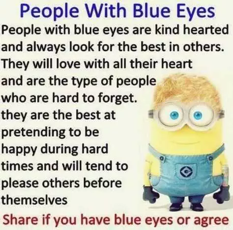 Minion Quotes And Memes  Blue Eyes