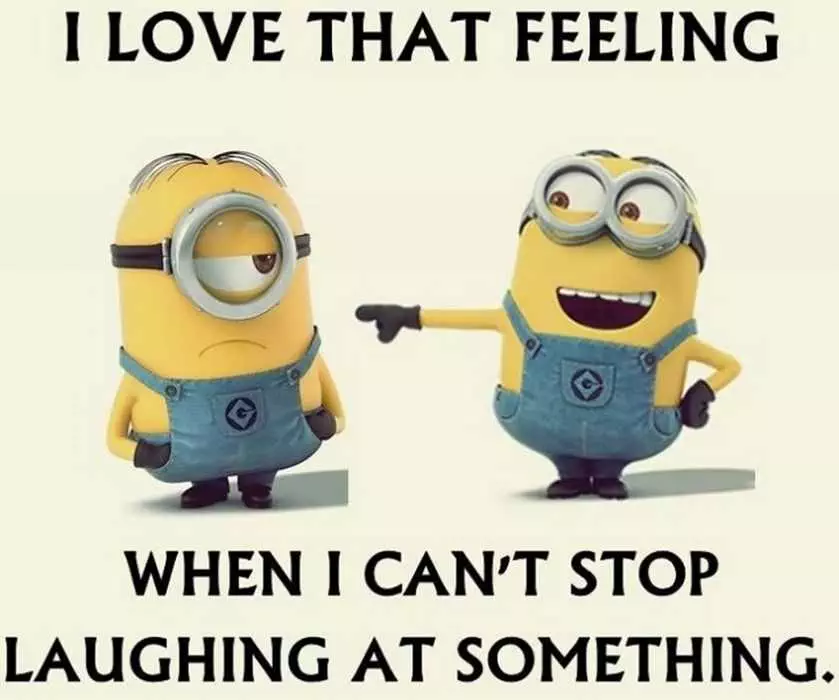 Minions Memes Funny  Can'T Stand Laughing