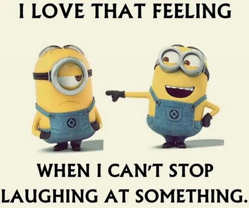 25 Hilarious New Minions Memes Funny Enough To LOL At