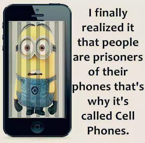 Funny Minion Memes Clean  Cell Phones