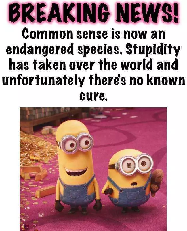 Minions Memes Funny Common Sense