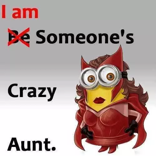 Funny Minions Meme Clean  Crazy Aunt