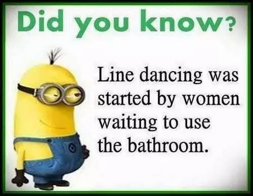 Minions Memes Funny Line Dancing