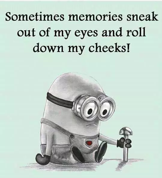 Minion Quotes And Memes  Memories Sneak