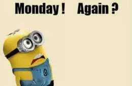 Minion Monday Again
