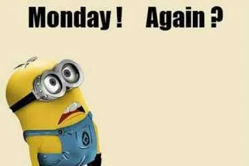 Minion Monday Again
