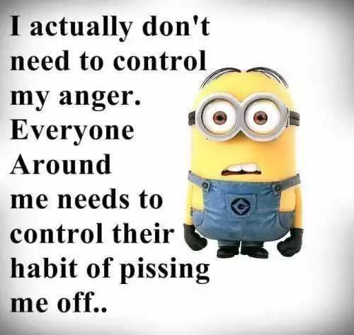 Minion Quotes And Memes  Pissing Me Off