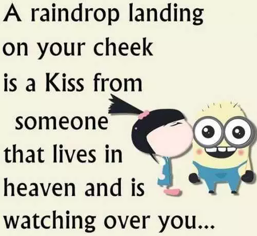 Funny Minions Memes Clean  Raindrop