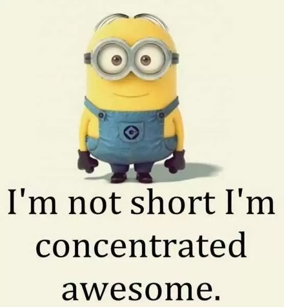Minion Short Concentrated