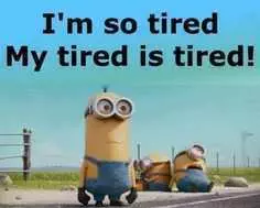 Funny Minions Memes Clean  Tired