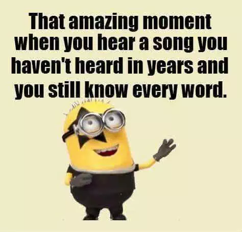 Minion Song Years