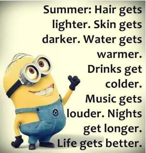 Minion Quotes And Memes  Summer