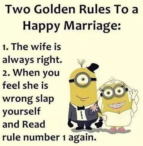 Minion Quotes And Memes  Wife Is Right
