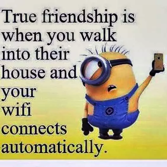 Minions Memes Funny  Wifi Friendship