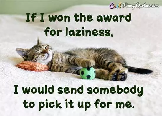 Funny Quotes About Life In General  Laziness