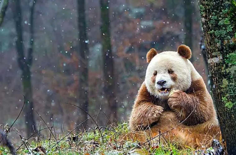 Screen Shot 2018 03 11 At 8.49.53 Pm