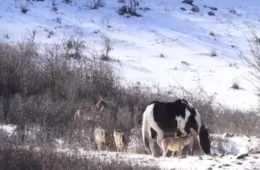 Screen Shot 2018 03 17 At 12.07.16 Pm