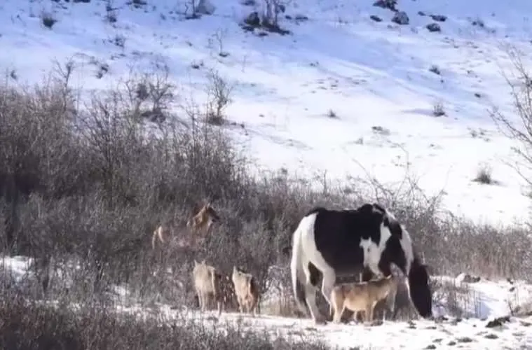 Screen Shot 2018 03 17 At 12.07.16 Pm