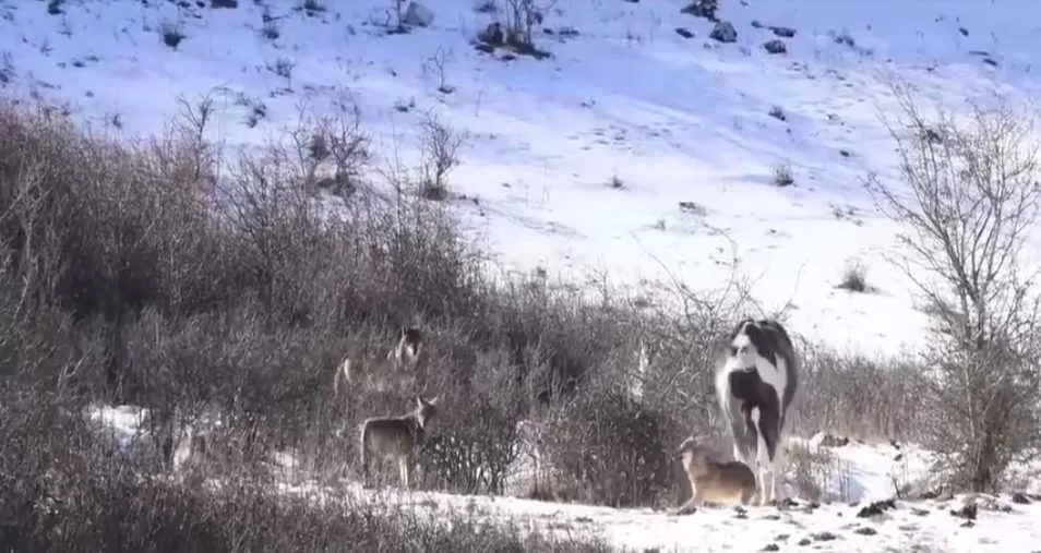 Screen Shot 2018 03 17 At 12.18.45 Pm