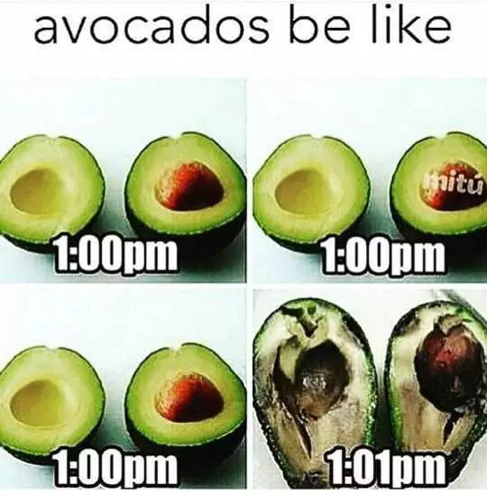 Funny Avocados