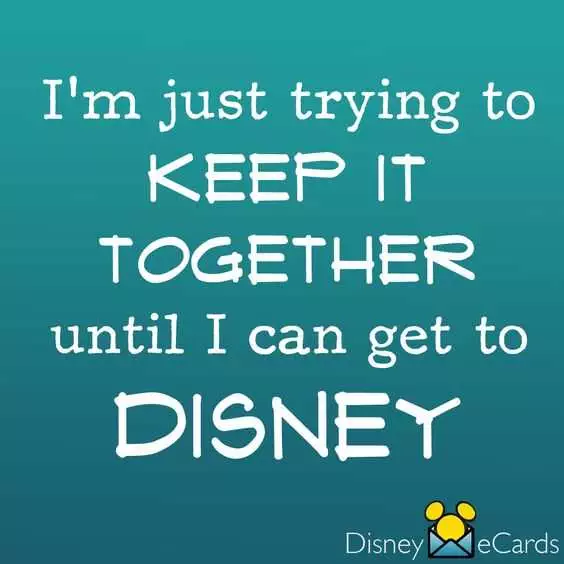 Disney Memes Funny  Keeping It Together